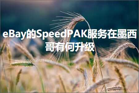 璺ㄥ鐢靛晢鐭ヨ瘑:eBay鐨凷peedPAK鏈嶅姟鍦ㄥⅷ瑗垮摜鏈変綍鍗囩骇